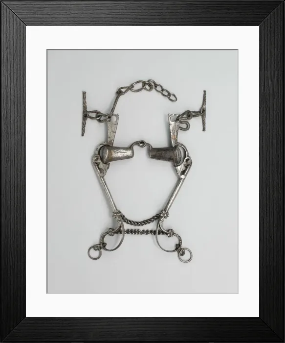Framed Print : Curb Bit, Europe, 16th century. Creator: Unknown Framed Print : Curb Bit, Europe, 16th century. Creator: Unknown