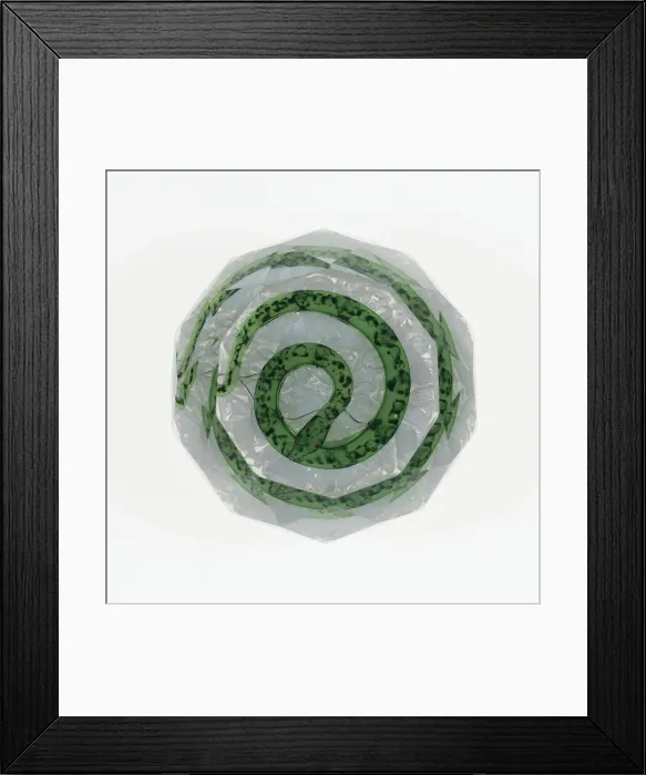 Framed Print : Paperweight, France, c. 1845-60. Creator: Saint-Louis Glassworks Framed Print : Paperweight, France, c. 1845-60. Creator: Saint-Louis Glassworks