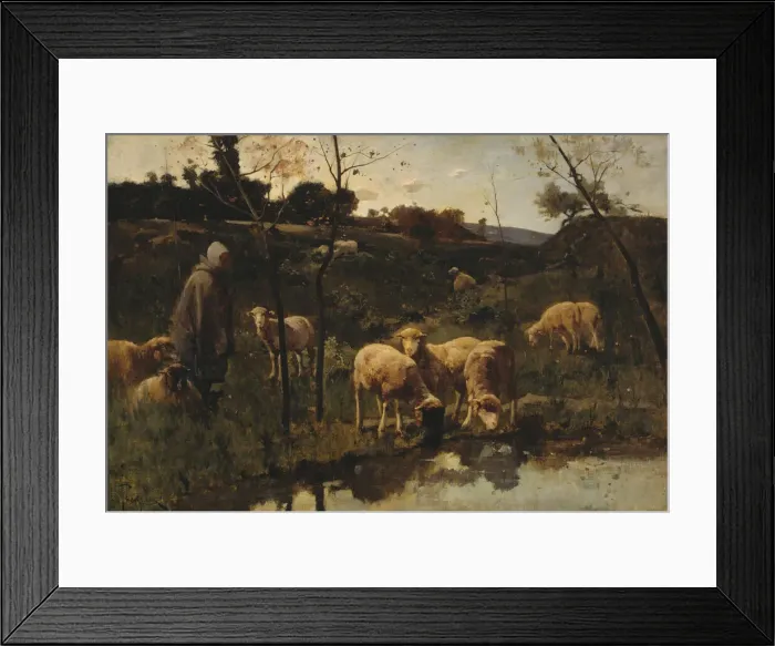 Framed Print : Landscape with Sheep, Picardy, late 19th century. Creator: Harry Thompson Framed Print : Landscape with Sheep, Picardy, late 19th century. Creator: Harry Thompson
