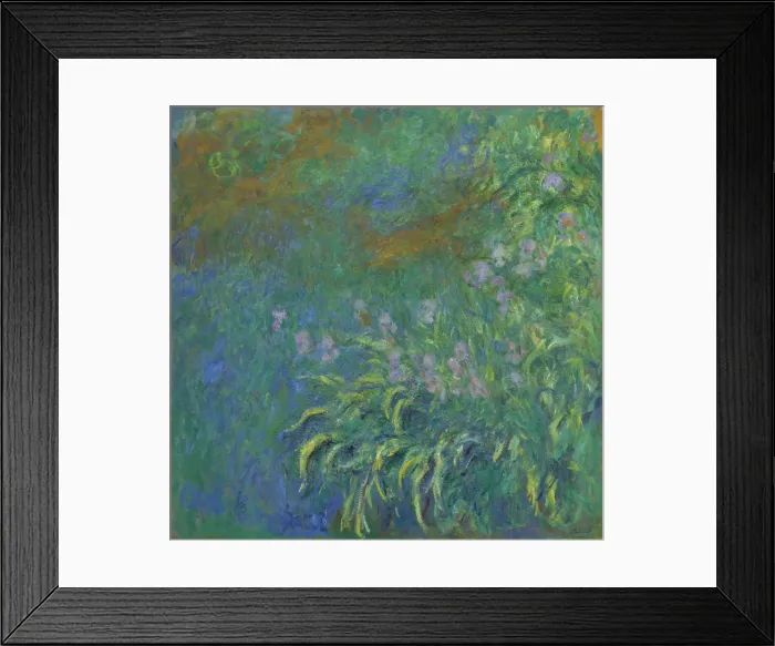 Framed Print : Irises, 1914 / 17. Creator: Claude Monet Framed Print : Irises, 1914 / 17. Creator: Claude Monet