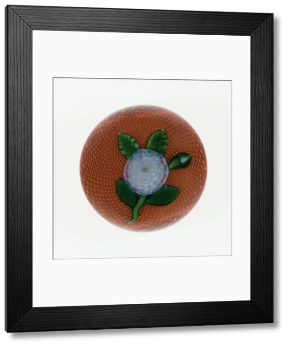 Framed Print : Paperweight, Saint-Louis, c. 1848-55. Creator: Saint-Louis Glassworks Framed Print : Paperweight, Saint-Louis, c. 1848-55. Creator: Saint-Louis Glassworks