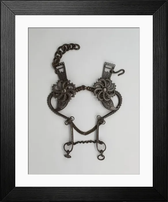 Framed Print : Curb Bit, Germany, 19th century. Creator: Unknown Framed Print : Curb Bit, Germany, 19th century. Creator: Unknown
