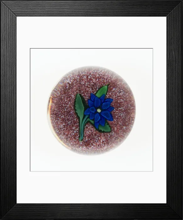 Framed Print : Paperweight, Saint-Louis, c. 1848-55. Creator: Saint-Louis Glassworks Framed Print : Paperweight, Saint-Louis, c. 1848-55. Creator: Saint-Louis Glassworks