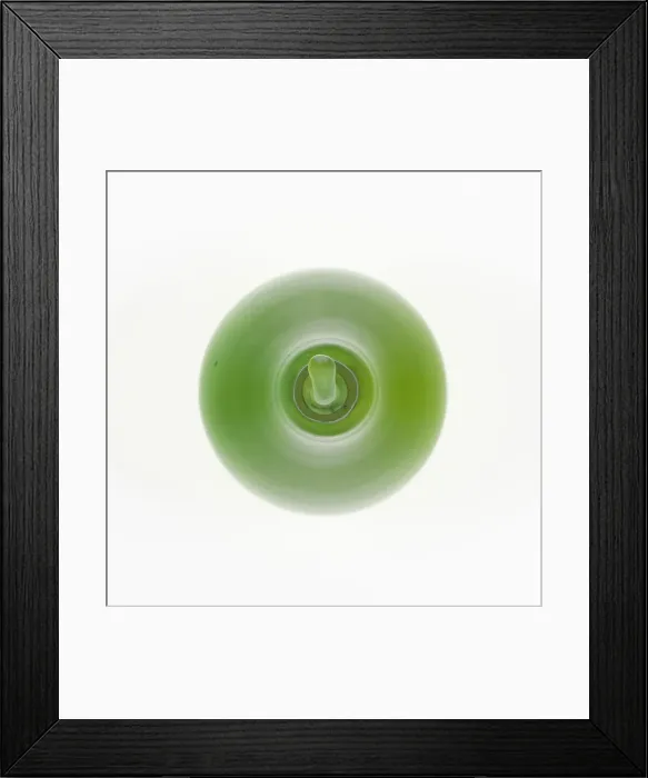 Framed Print : Paperweight, France, c. 1845-60. Creator: Saint-Louis Glassworks Framed Print : Paperweight, France, c. 1845-60. Creator: Saint-Louis Glassworks