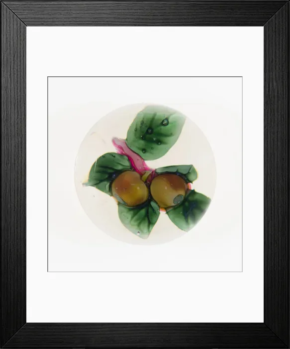 Framed Print : Paperweight, Saint-Louis, 19th century. Creator: Saint-Louis Glassworks Framed Print : Paperweight, Saint-Louis, 19th century. Creator: Saint-Louis Glassworks