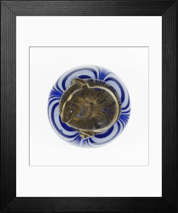 Framed Print : Paperweight, , c. 1845-1860. Creator: Saint-Louis Glassworks Framed Print : Paperweight, , c. 1845-1860. Creator: Saint-Louis Glassworks
