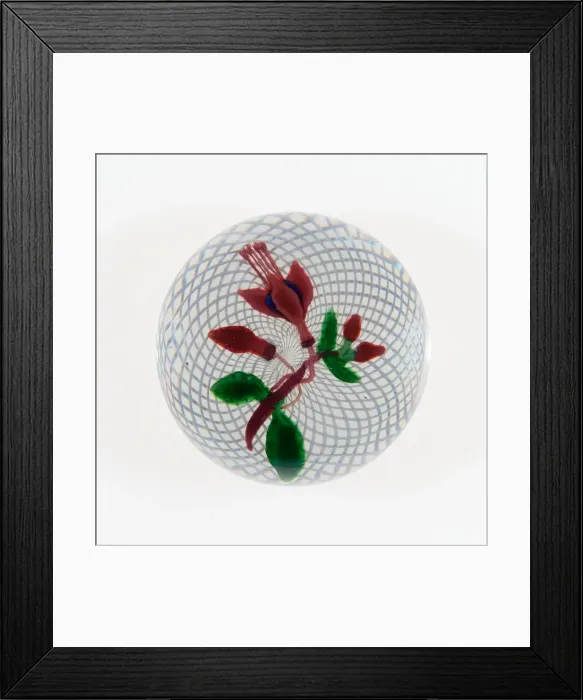 Framed Print : Paperweight, Saint-Louis, c. 1848-55. Creator: Saint-Louis Glassworks Framed Print : Paperweight, Saint-Louis, c. 1848-55. Creator: Saint-Louis Glassworks