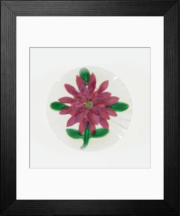Framed Print : Paperweight, Saint-Louis, c. 1848-55. Creator: Saint-Louis Glassworks Framed Print : Paperweight, Saint-Louis, c. 1848-55. Creator: Saint-Louis Glassworks