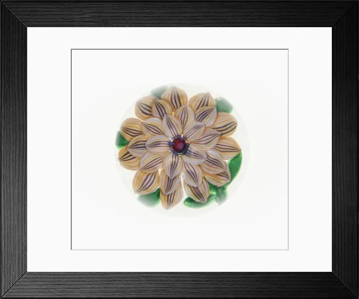 Framed Print : Paperweight, France, c. 1848 / 55. Creator: Saint-Louis Glassworks Framed Print : Paperweight, France, c. 1848 / 55. Creator: Saint-Louis Glassworks
