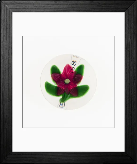 Framed Print : Paperweight, France, 19th century. Creator: Saint-Louis Glassworks Framed Print : Paperweight, France, 19th century. Creator: Saint-Louis Glassworks