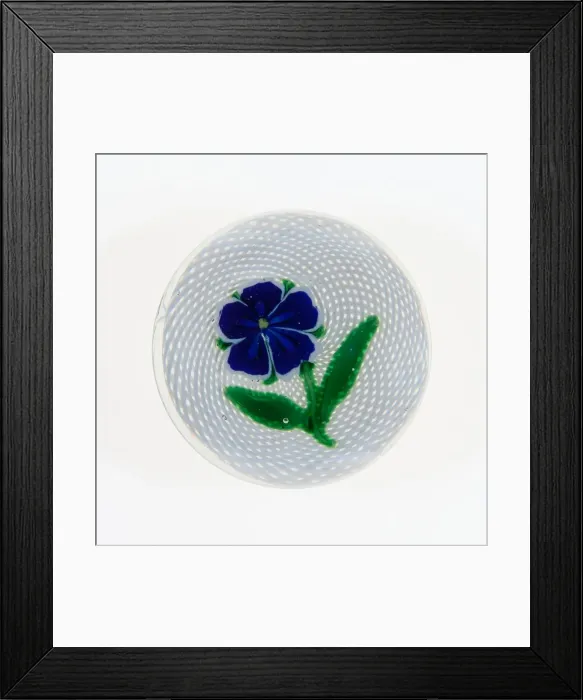 Framed Print : Paperweight, France, c. 1845-60. Creator: Saint-Louis Glassworks Framed Print : Paperweight, France, c. 1845-60. Creator: Saint-Louis Glassworks