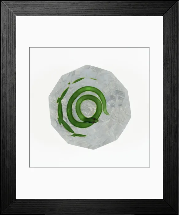 Framed Print : Paperweight, France, c. 1848-55. Creator: Saint-Louis Glassworks Framed Print : Paperweight, France, c. 1848-55. Creator: Saint-Louis Glassworks