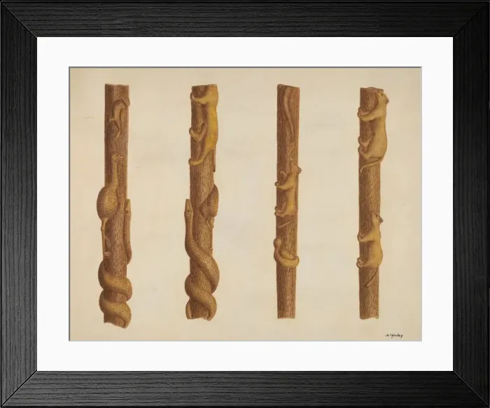 Framed Print : Walking Stick, c. 1940. Creator: William McAuley Framed Print : Walking Stick, c. 1940. Creator: William McAuley
