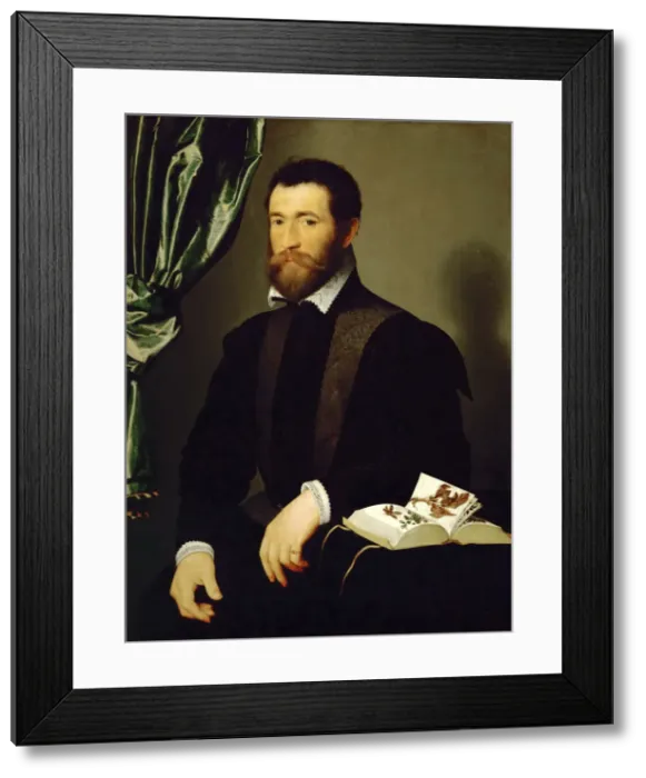 Framed Print : Portrait of Pierre Quthe, Apothecary, 1562. Creator: Clouet, Francois (1510-1572) Framed Print : Portrait of Pierre Quthe, Apothecary, 1562. Creator: Clouet, Francois (1510-1572)