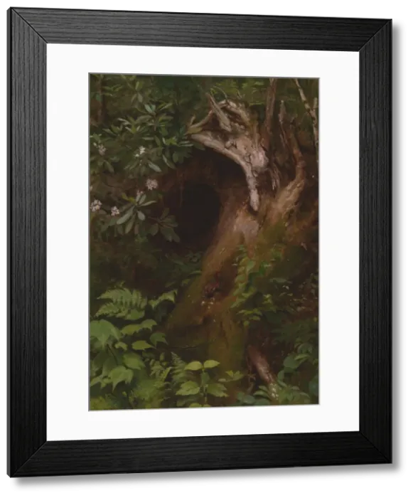 Framed Print : The Squirrel, 1860s / 70s. Creator: Seymour Joseph Guy Framed Print : The Squirrel, 1860s / 70s. Creator: Seymour Joseph Guy