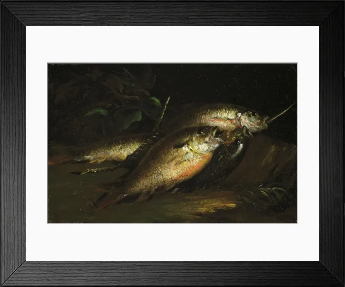 Framed Print : Fish, 1842. Creator: Shepard Alonzo Mount Framed Print : Fish, 1842. Creator: Shepard Alonzo Mount