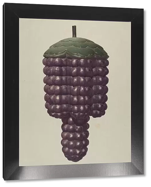 Shop Sign - Grapes, c. 1938. Creator: Robert Pohle