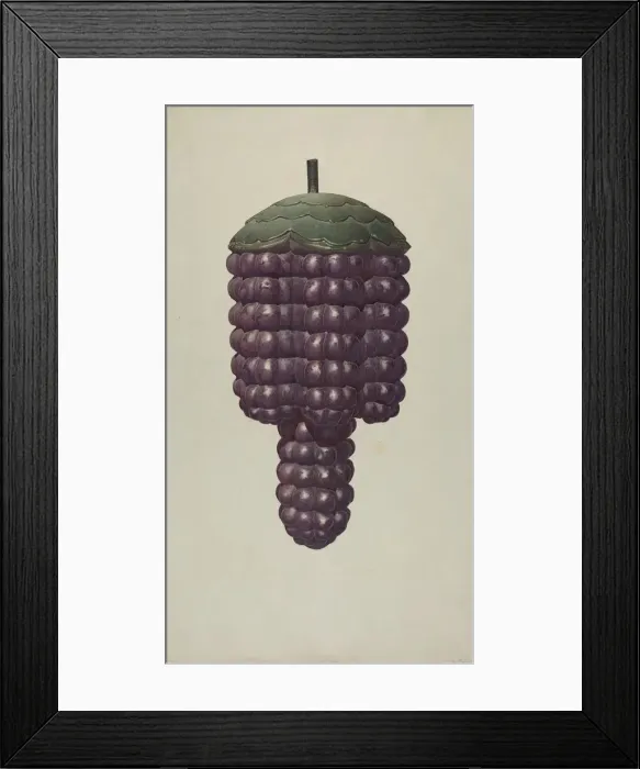 Framed Print : Shop Sign - Grapes, c. 1938. Creator: Robert Pohle Framed Print : Shop Sign - Grapes, c. 1938. Creator: Robert Pohle