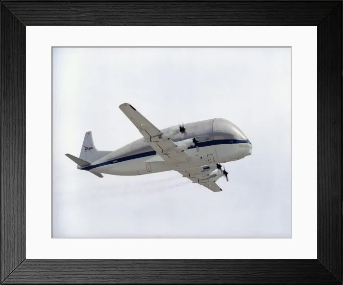 Framed Print : Guppy, USA, May 5, 2005 Framed Print : Guppy, USA, May 5, 2005