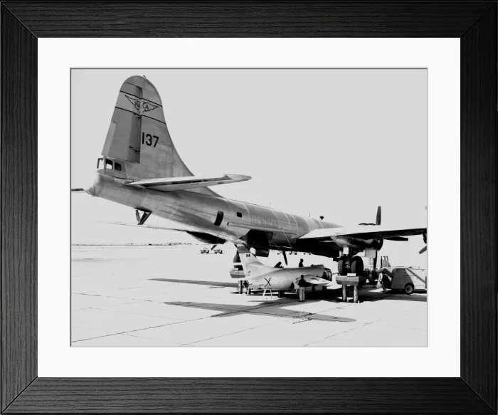 Framed Print : D-558-2 being mounted to P2B 1S launch aircraft, USA, 1953. Creator: Unknown Framed Print : D-558-2 being mounted to P2B 1S launch aircraft, USA, 1953. Creator: Unknown