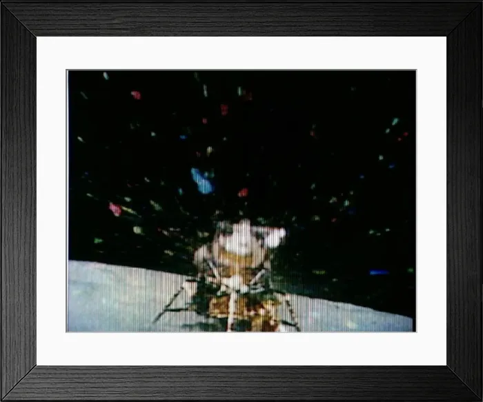 : Apollo 16 television transmission of Lunar Module ascent stage lift off, April 23, 1972 : Apollo 16 television transmission of Lunar Module ascent stage lift off, April 23, 1972