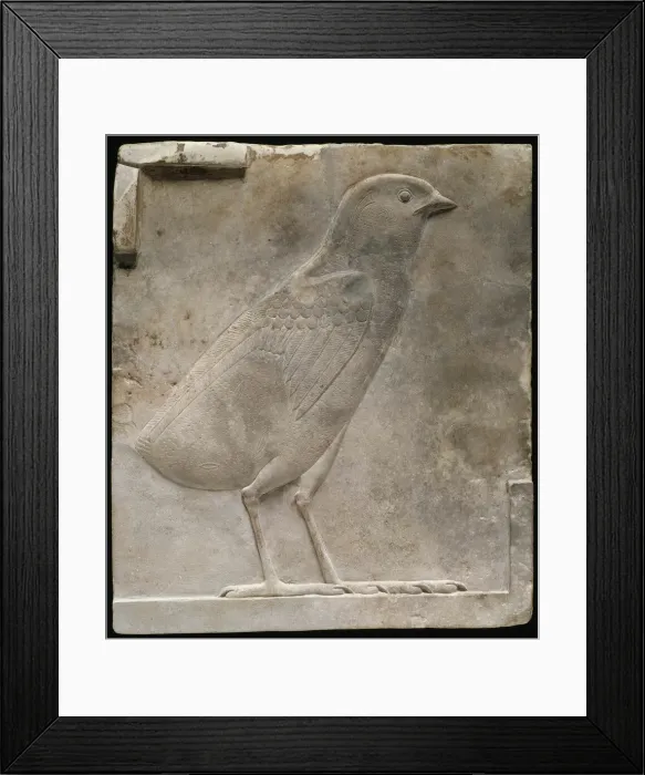 Framed Print : Plaque Depicting a Quail Chick, Egypt, Ptolemaic Period (332-30 BCE). Creator: Unknown Framed Print : Plaque Depicting a Quail Chick, Egypt, Ptolemaic Period (332-30 BCE). Creator: Unknown