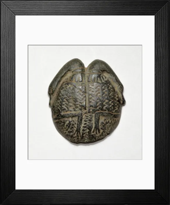 Framed Print : Cosmetic Saucer Decorated with Swans, Egypt, New Kingdom Framed Print : Cosmetic Saucer Decorated with Swans, Egypt, New Kingdom