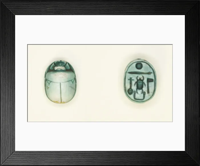 Framed Print : Scarab: Aakheperkara (Thutmose I), Egypt, New Kingdom, Dynasty 18, Reign of Thutmose I Framed Print : Scarab: Aakheperkara (Thutmose I), Egypt, New Kingdom, Dynasty 18, Reign of Thutmose I