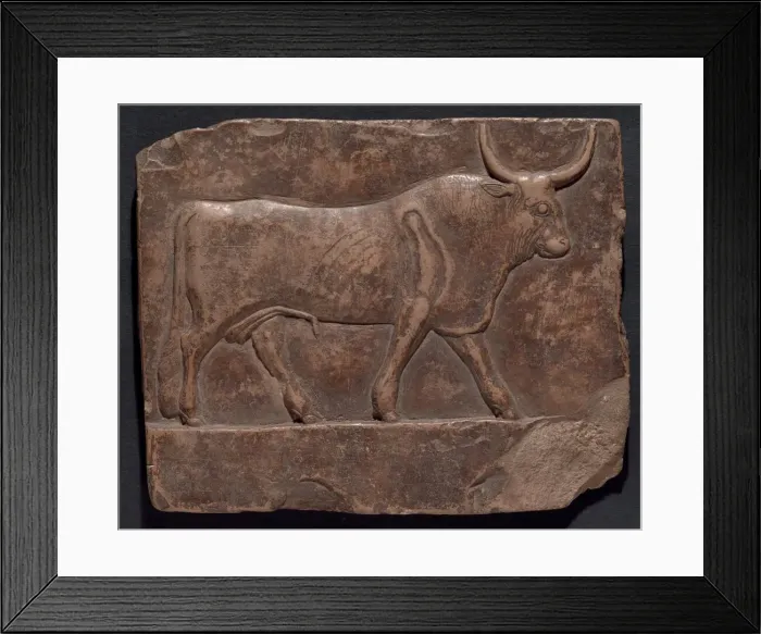 Framed Print : Relief of a Bull, Egypt, Early Ptolemaic Period, about 300 BCE. Creator: Unknown Framed Print : Relief of a Bull, Egypt, Early Ptolemaic Period, about 300 BCE. Creator: Unknown