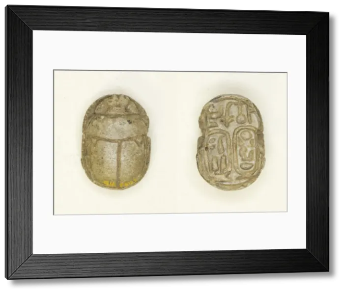 Framed Print : Scarab: Nebmaatra (Amenhotep III) and Queen Tiye, Egypt, New Kingdom, Dynasty 18 Framed Print : Scarab: Nebmaatra (Amenhotep III) and Queen Tiye, Egypt, New Kingdom, Dynasty 18