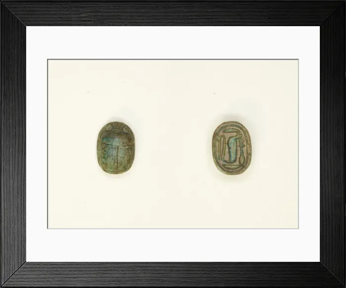 Framed Print : Scarab: Cobra, Egypt, New Kingdom, Ramesside Period, Dynasties 19-20 (about 1295-1096 BCE Framed Print : Scarab: Cobra, Egypt, New Kingdom, Ramesside Period, Dynasties 19-20 (about 1295-1096 BCE