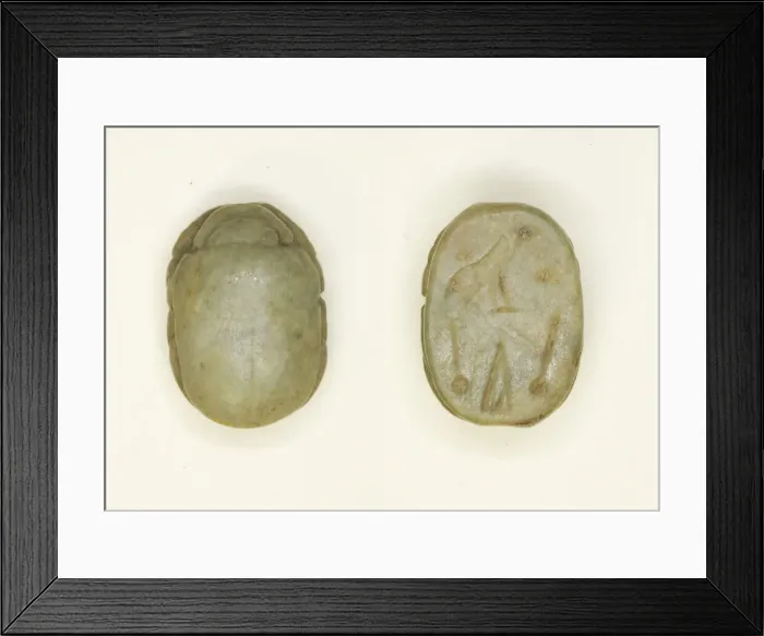 Framed Print : Scarab: Hieroglyphs (mwt-sign, nfr-signs, di-sign), Egypt Framed Print : Scarab: Hieroglyphs (mwt-sign, nfr-signs, di-sign), Egypt