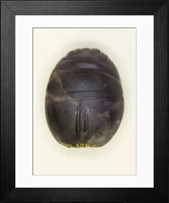 Framed Print : Scarab: Uninscribed, Egypt, Middle Kingdom, Dynasty 12 (about 1985-1773 BCE) Framed Print : Scarab: Uninscribed, Egypt, Middle Kingdom, Dynasty 12 (about 1985-1773 BCE)
