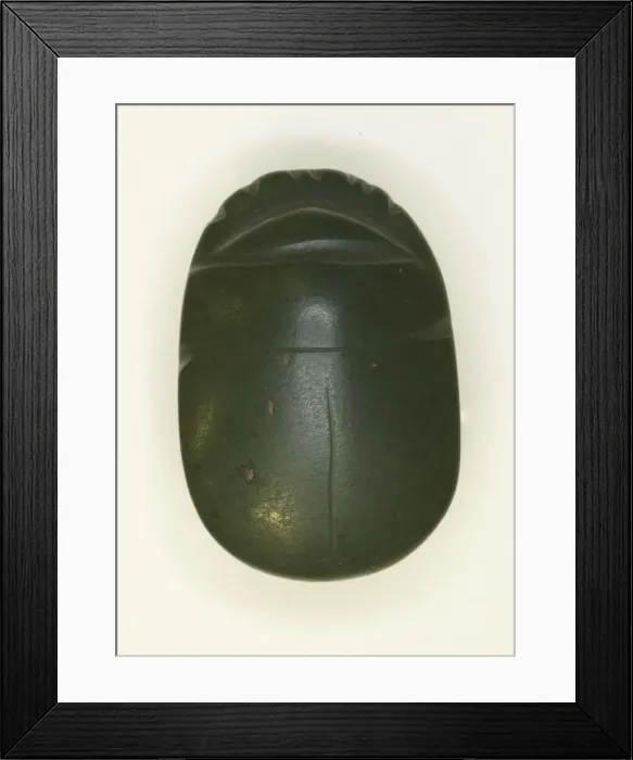 Framed Print : Scarab: Uninscribed, Egypt, Middle Kingdom-Late Period, Dynasties 12-26