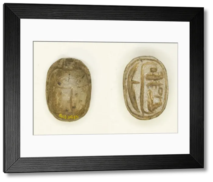 Framed Print : Scarab: Menmaatra (Sety I), Egypt, New Kingdom, Dynasty 19 Framed Print : Scarab: Menmaatra (Sety I), Egypt, New Kingdom, Dynasty 19