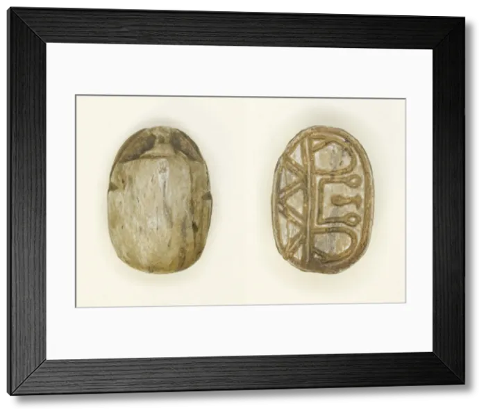 Framed Print : Scarab: Floral Motifs, Hieroglyphs, and Geometric Designs, Egypt