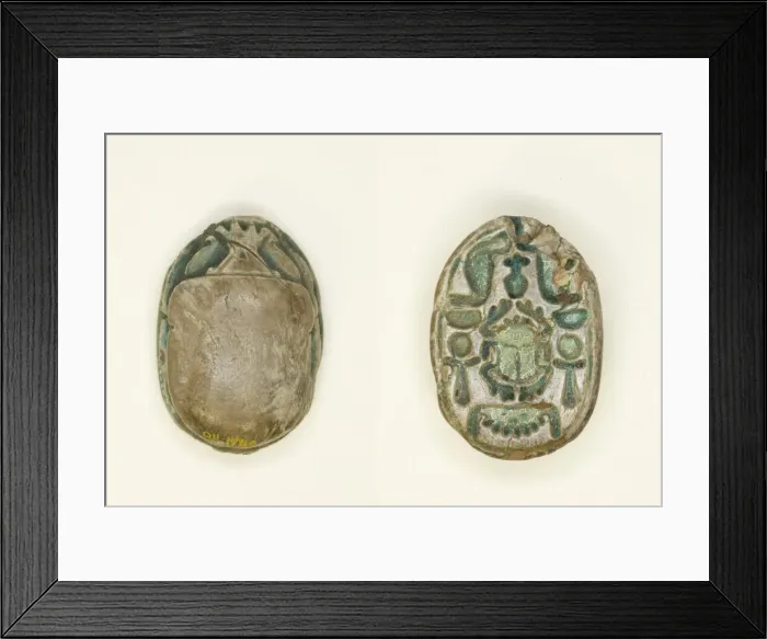 Framed Print : Scarab: Scarab Beetle with Hieroglyphs (cobras, anx-signs, nbw-sign), Egypt Framed Print : Scarab: Scarab Beetle with Hieroglyphs (cobras, anx-signs, nbw-sign), Egypt