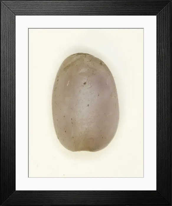 Framed Print : Scarab: Uninscribed, Egypt, Middle Kingdom, Dynasty 12 (about 1985-1773 BCE) Framed Print : Scarab: Uninscribed, Egypt, Middle Kingdom, Dynasty 12 (about 1985-1773 BCE)