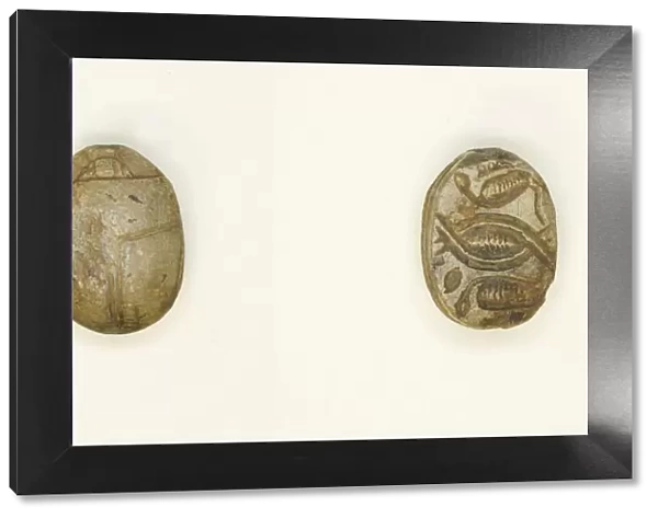Scarab: Cobras Addorsed and Linked, Egypt, Second Intermediate Period