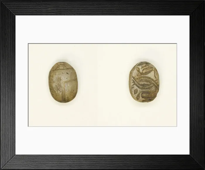 Framed Print : Scarab: Cobras Addorsed and Linked, Egypt, Second Intermediate Period Framed Print : Scarab: Cobras Addorsed and Linked, Egypt, Second Intermediate Period