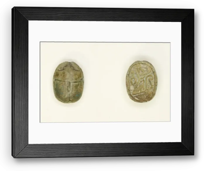 Framed Print : Scarab: Falcon Deity, Egypt, Second Intermediate Period-New Kingdom, Dynasties 15-20 Framed Print : Scarab: Falcon Deity, Egypt, Second Intermediate Period-New Kingdom, Dynasties 15-20