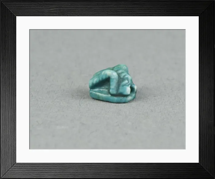 Framed Print : Scaraboid: Grasshopper, Egypt, New Kingdom, Dynasties 18-20 Framed Print : Scaraboid: Grasshopper, Egypt, New Kingdom, Dynasties 18-20