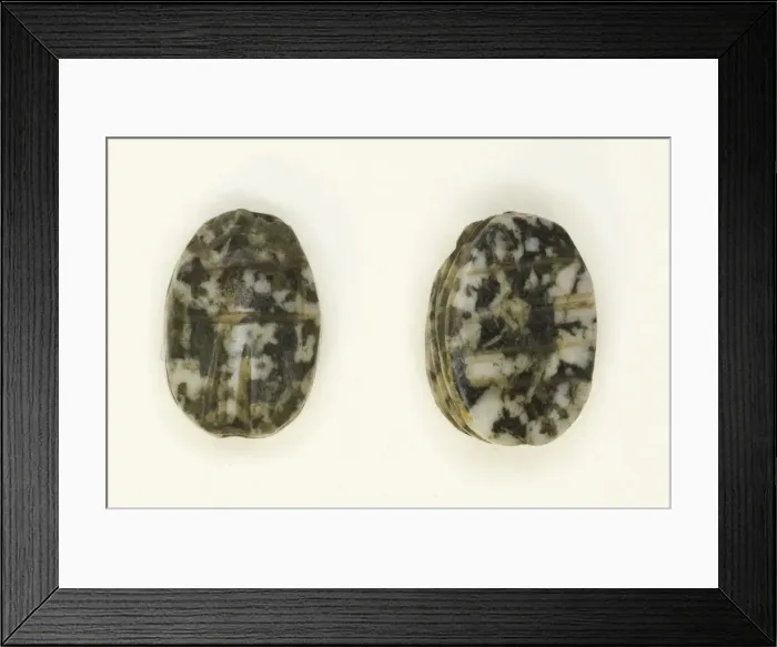 Framed Print : Scarab: Linear Motifs, Egypt, First Intermediate Period-Early Middle Kingdom Framed Print : Scarab: Linear Motifs, Egypt, First Intermediate Period-Early Middle Kingdom