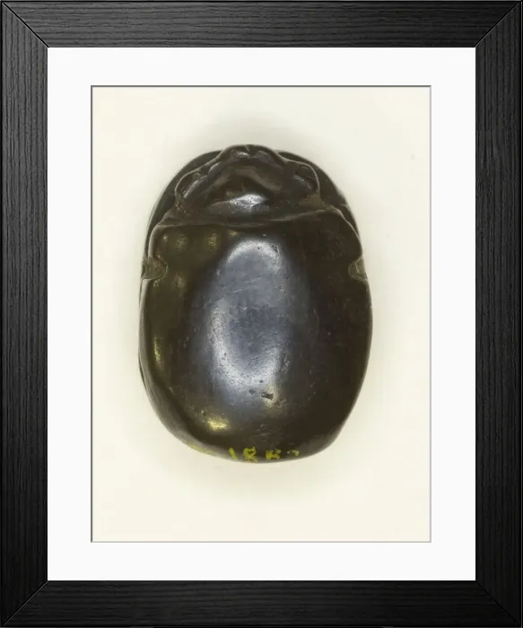 Framed Print : Scarab: Uninscribed, Egypt, Middle Kingdom-Late Period, Dynasties 12-26 Framed Print : Scarab: Uninscribed, Egypt, Middle Kingdom-Late Period, Dynasties 12-26