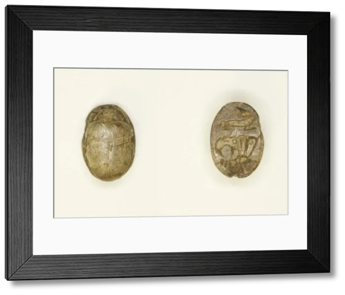 Framed Print : Scarab: Rabbit with Hathor Sistrum, Egypt, New Kingdom-Late Period Framed Print : Scarab: Rabbit with Hathor Sistrum, Egypt, New Kingdom-Late Period