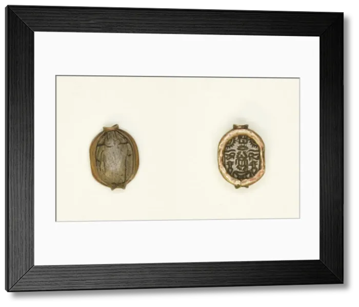 Framed Print : Scarab: Scarab Beetle with Hieroglyphs (wedjat eyes, nfr-signs, nbw-sign), Egypt Framed Print : Scarab: Scarab Beetle with Hieroglyphs (wedjat eyes, nfr-signs, nbw-sign), Egypt