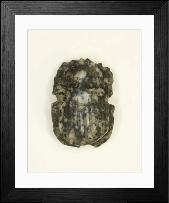 Framed Print : Scarab, Egypt, Ptolemaic Period (304-30 BCE). Creator: Unknown