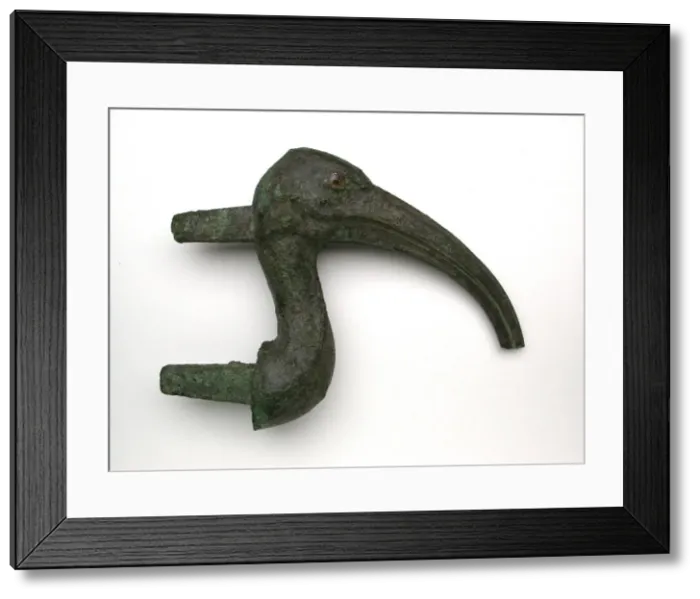 Framed Print : Statuette of an Ibis Head, Egypt, Late Period (664-332 BCE). Creator: Unknown Framed Print : Statuette of an Ibis Head, Egypt, Late Period (664-332 BCE). Creator: Unknown