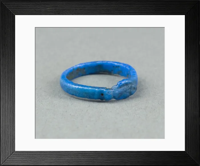 Framed Print : Ring: Figure of a Fish, Egypt, New Kingdom, Dynasty 18 (about 1390 BCE). Creator: Unknown Framed Print : Ring: Figure of a Fish, Egypt, New Kingdom, Dynasty 18 (about 1390 BCE). Creator: Unknown