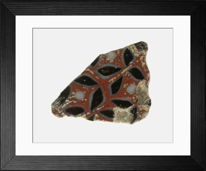 Framed Print : Fragment of a Floral Inlay, Roman Empire, Ptolemaic Period-Roman Period